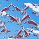 Image for article titled Skarmory Is A Bird Made Of Swords And Knives